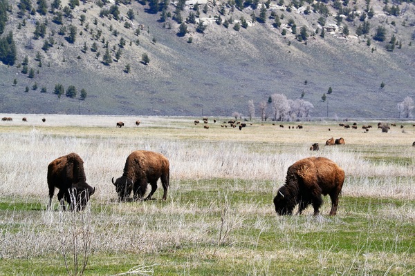 Grant Teton National Park, Wyoming