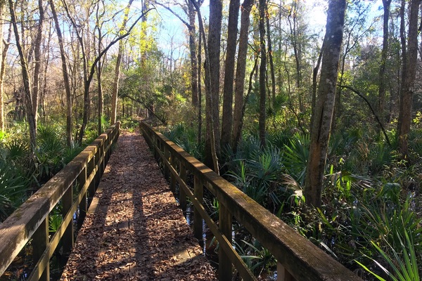 Edisto Nature Trail, South Carolina