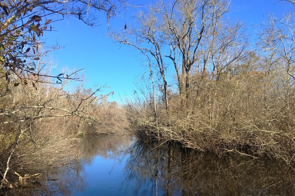 Edisto River, South Carolina