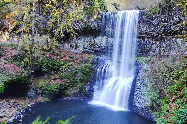 Middle Falls, Silver Falls State Park, Oregon