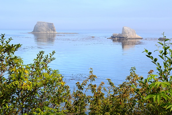Seal Rock and Sail Rock, Neah Bay, Washington