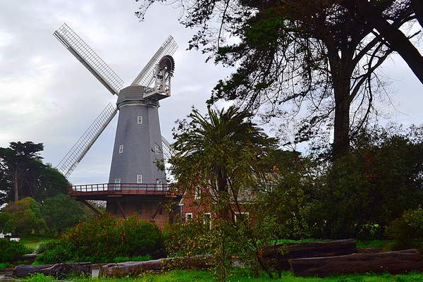 Murphy Windmill, San Francisco, California