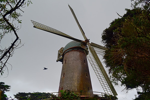 Dutch Windmill, San Francisco, California