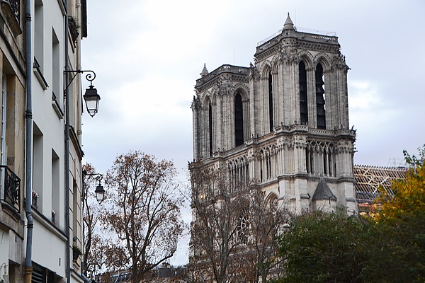 Cathèdrale Notre-Dame de Paris