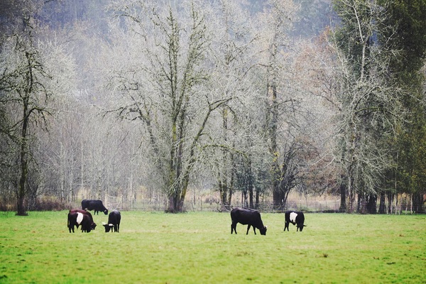 Clark County, Washington
