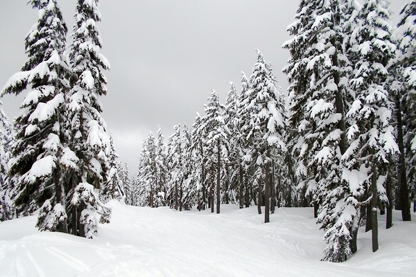 Mt. Hood, Oregon