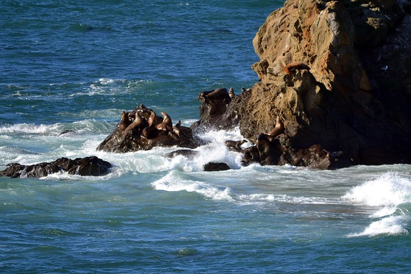 Cape Arago Lighthouse, Oregon