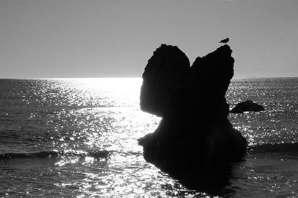 Oregon Coast