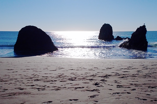 Oregon Coast