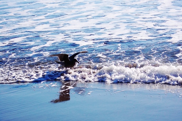 Oregon Coast