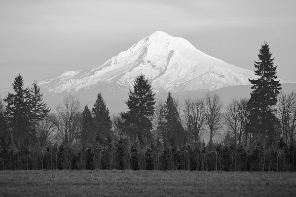 Mt. Hood, Oregon