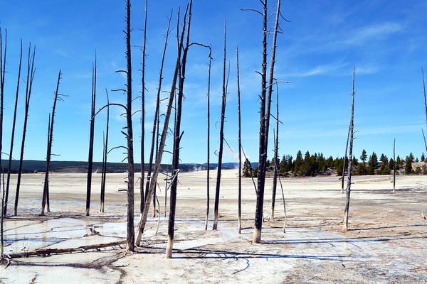 Yellowstone National Park, Wyoming