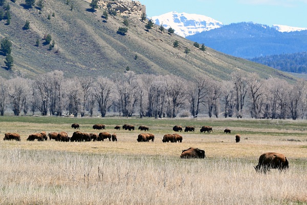 Grant Teton National Park, Wyoming
