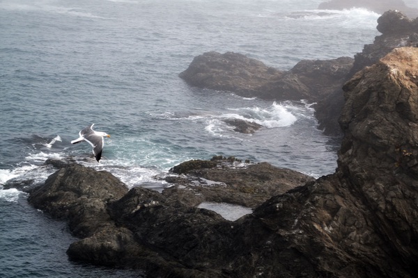 Cabrillo Point, California