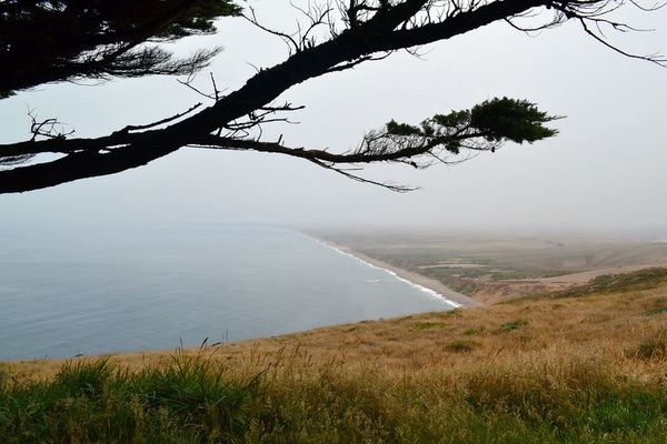 Point Reyes, California