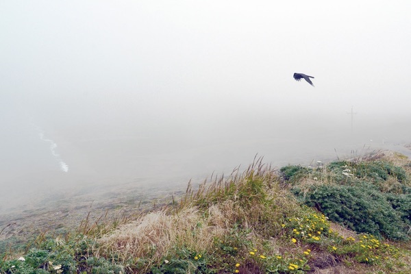 Point Reyes, California