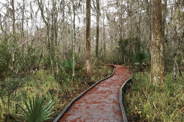 Barataria Preserve, Louisiana