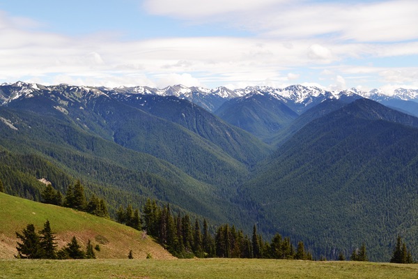 Hurricane Ridge, Olympic National Park, Washington