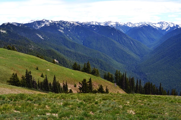 Hurricane Ridge, Olympic National Park, Washington