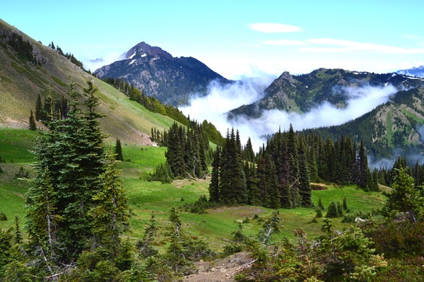 Olympic National Park, Washington