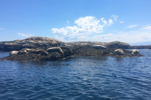 Victoria, British Columbia