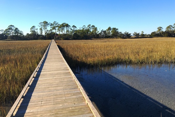 Edisto Island, South Carolina