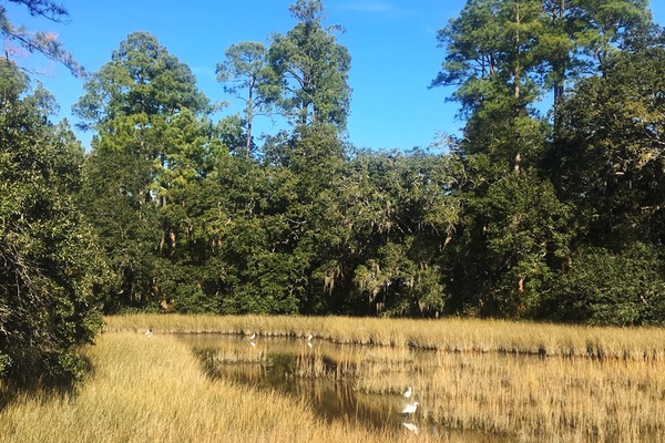 Edisto Island, South Carolina