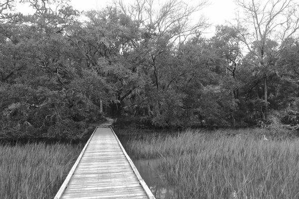 Edisto Island, South Carolina