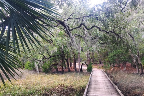 Edisto Island, South Carolina