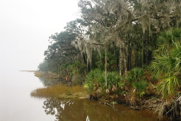 Ogeechee River, Georgia