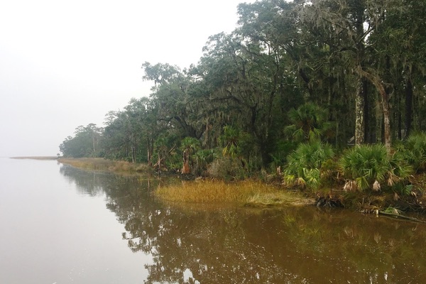 Ogeechee River, Georgia
