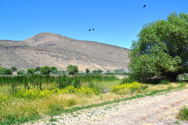Tulelake Wildlife Refuge, California