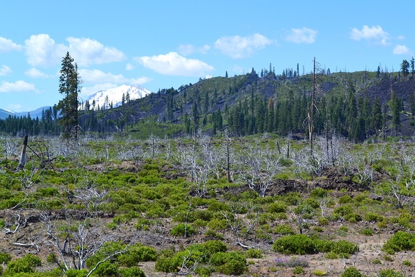 Lassen Volcanic National Monument, California