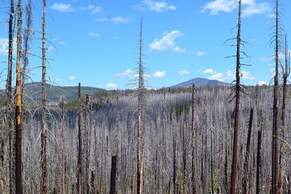 Lassen Volcanic National Monument, California