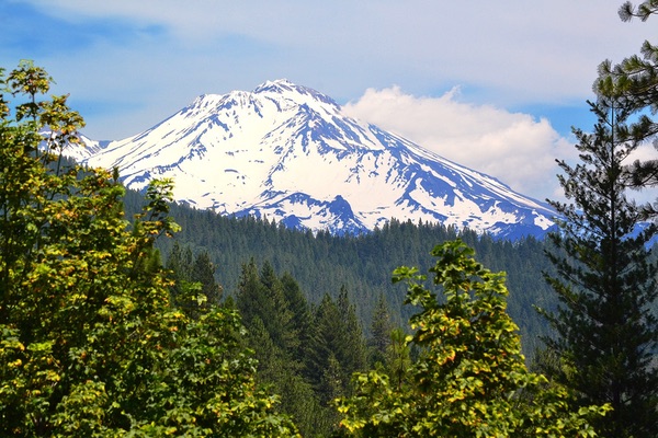 Mt. Shasta, California