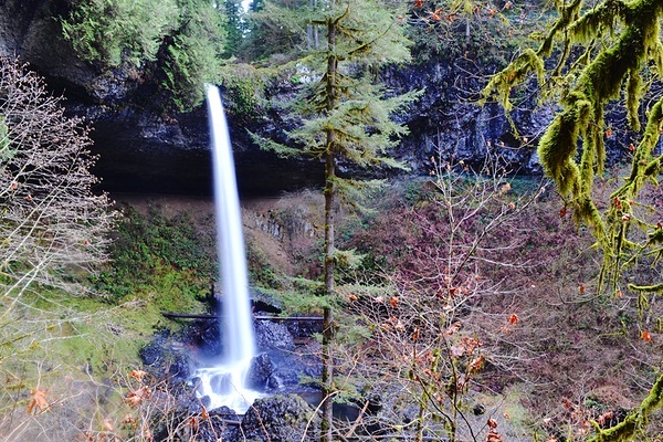 North Falls, Silver Falls State Park, Oregon