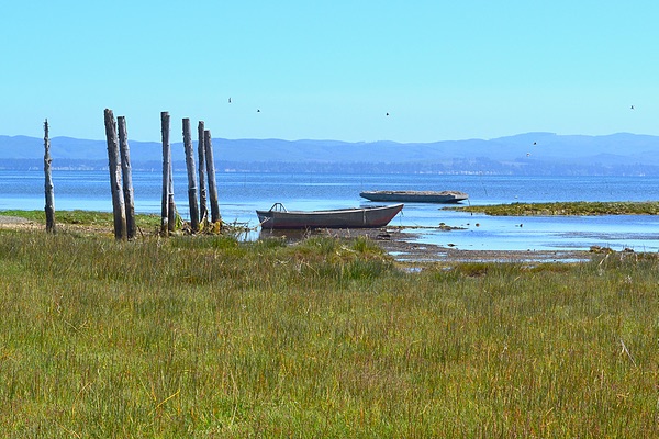 Oysterville, Washington