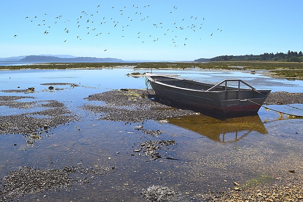 Oysterville, Washington