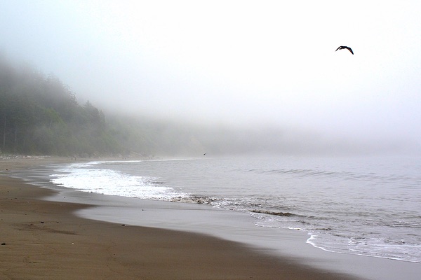 Third Beach, La Push, Washington
