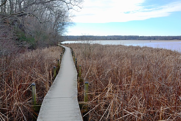 Jug Bay Wetlands Sanctuary, Maryland