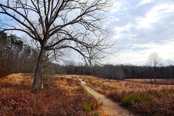Spotsylvania National Battlefield, Virginia