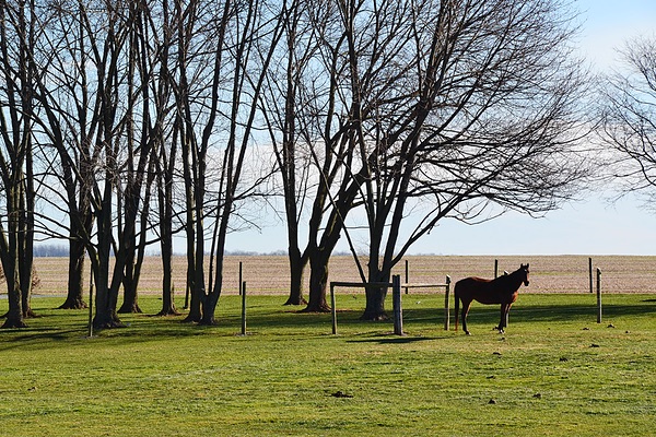 Frederick County, Maryland