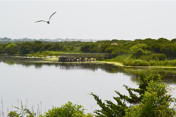 Cape May, New Jersey