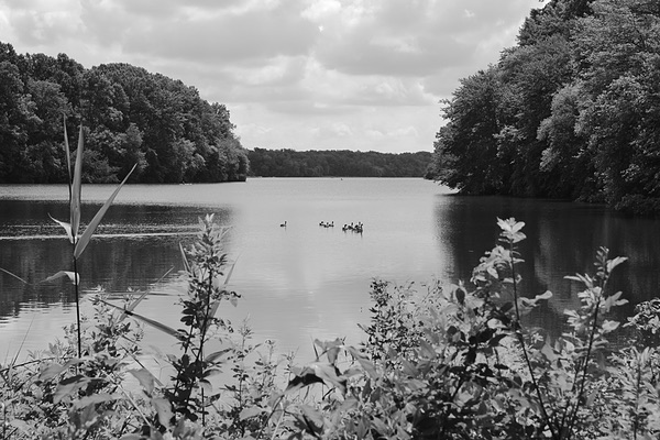 Lums Pond State Park, Delaware