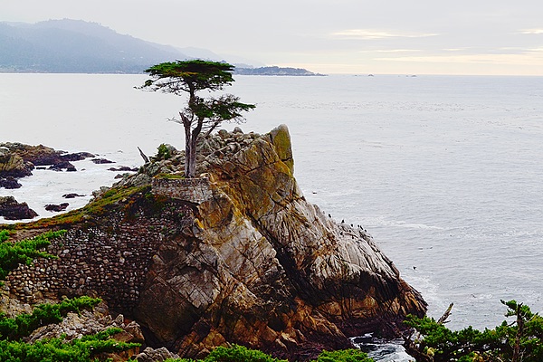 Pebble Beach, California
