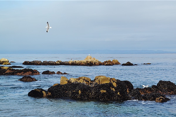 Monterey, California