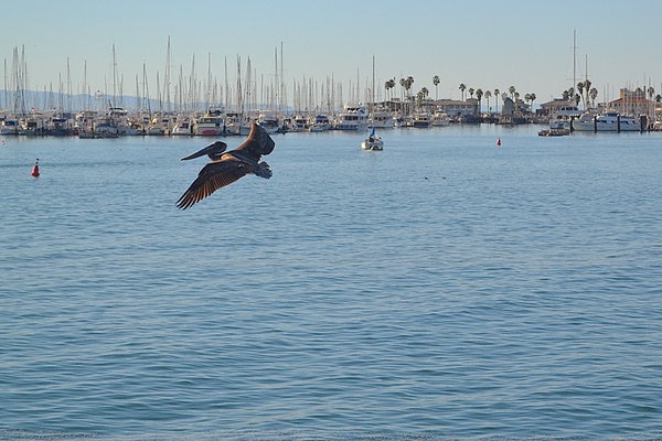 Santa Barbara, California