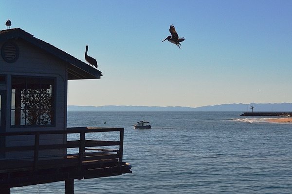 Santa Barbara, California