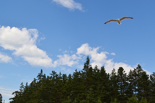 Marshall Point, Maine
