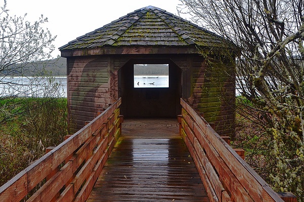 William L. Finley Wildlife Refuge, Oregon